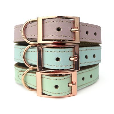 Skye & Murphy Leather Collars - HugglePets