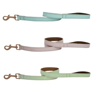 Skye & Murphy Leather Leads - hugglepets