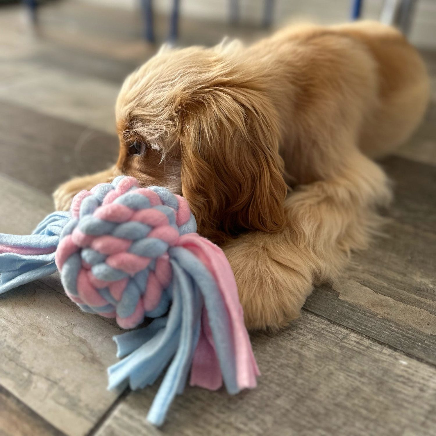 HugglePets Skye & Murphy Fleece Rope Ball Dog Toy - Image 5