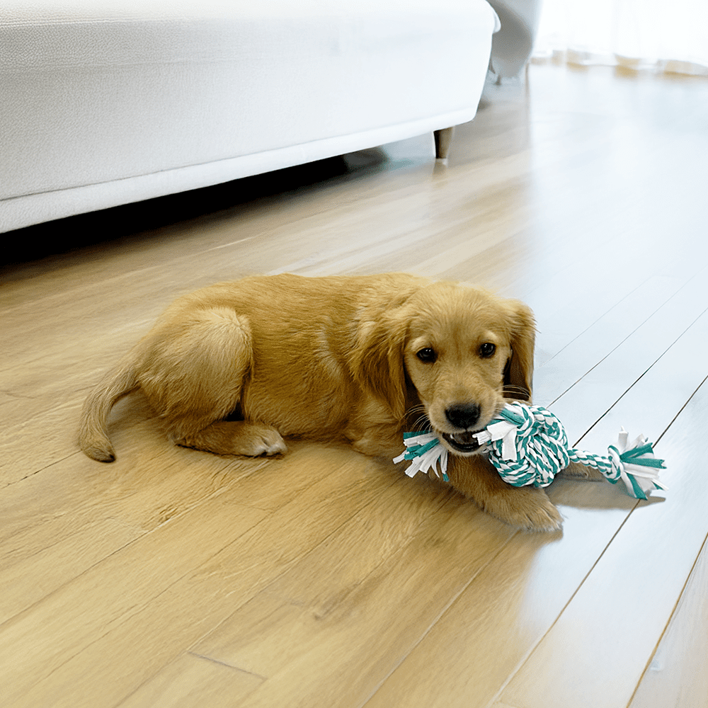 HugglePets Recycled T-Shirt Ball Tugger Dog Toy - Image 5