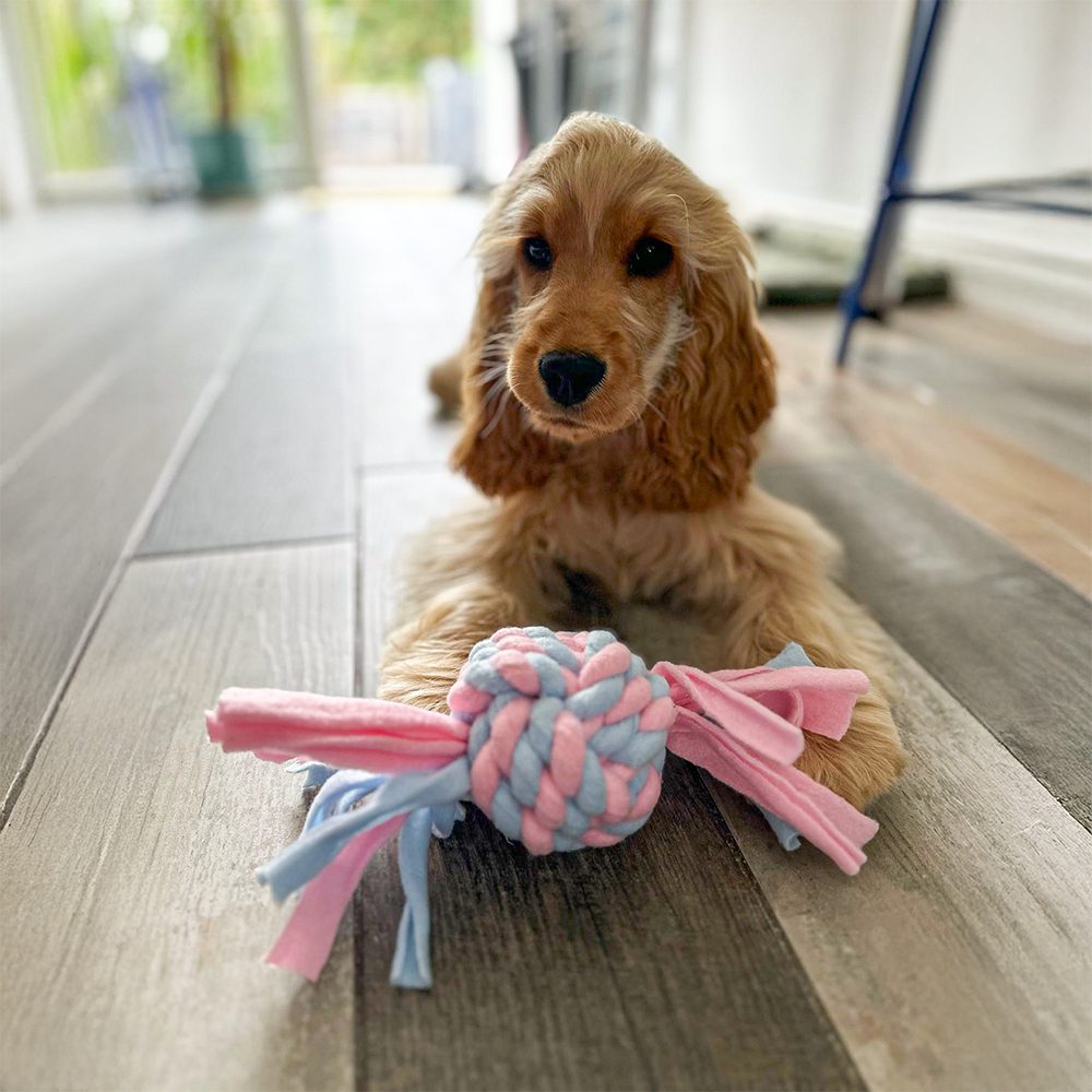HugglePets Skye & Murphy Fleece Rope Ball Dog Toy - Image 4