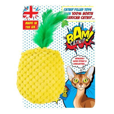 BAM! Catnip Pineapple
