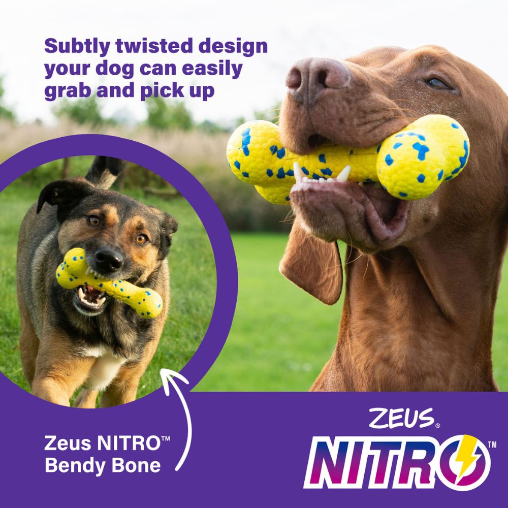Zeus Nitro Bendy Bone Dog Toy - HugglePets