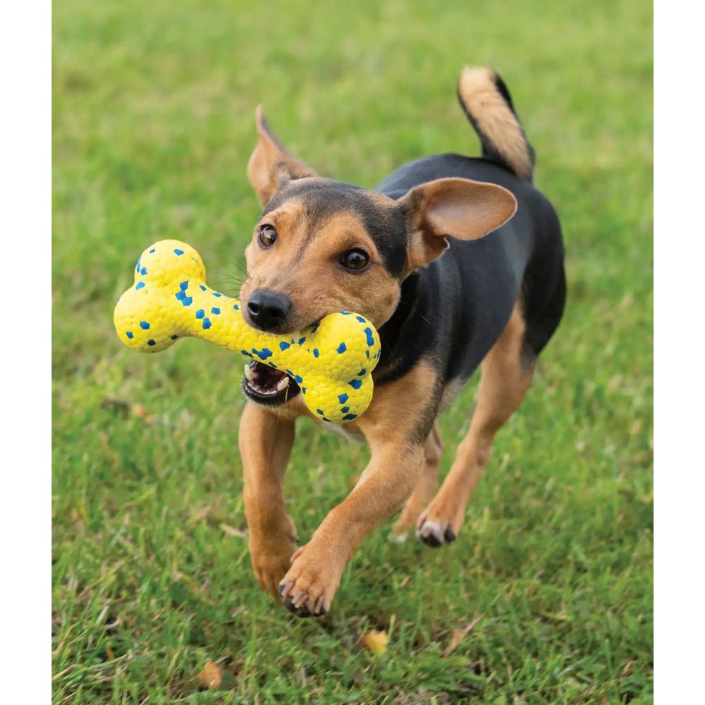 Zeus Nitro Bendy Bone Dog Toy - HugglePets