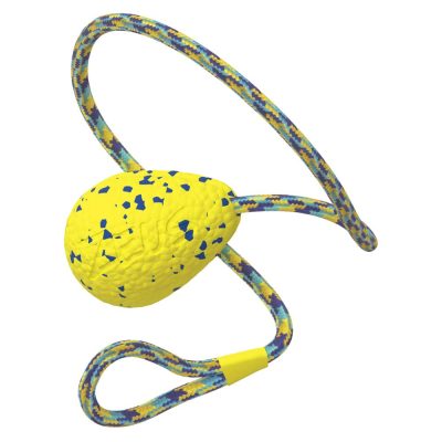 Zeus Nitro Weighted Slinger with Rope Dog Toy - HugglePets