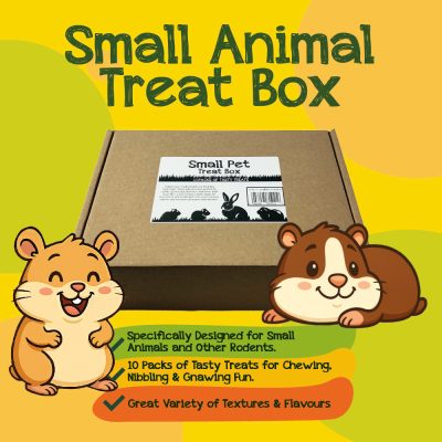 HugglePets Small Animals Treat Box