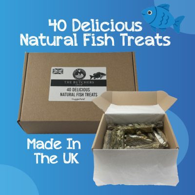 HugglePets Assorted Natural Fish Dog Treats Box (40pcs)