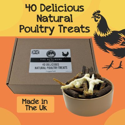 HugglePets Assorted Natural Poultry Dog Treats Box (40pcs)