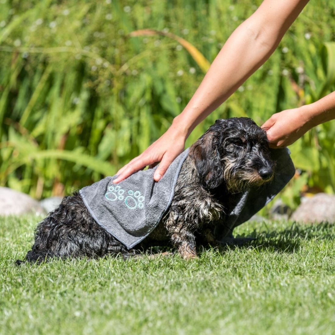 Trixie Microfibre Pet Towel - HugglePets