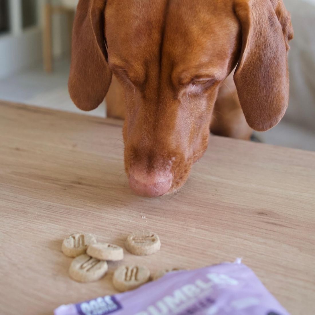 Scrumbles Calming Turkey Nibbles Dog Treats 100g - HugglePets