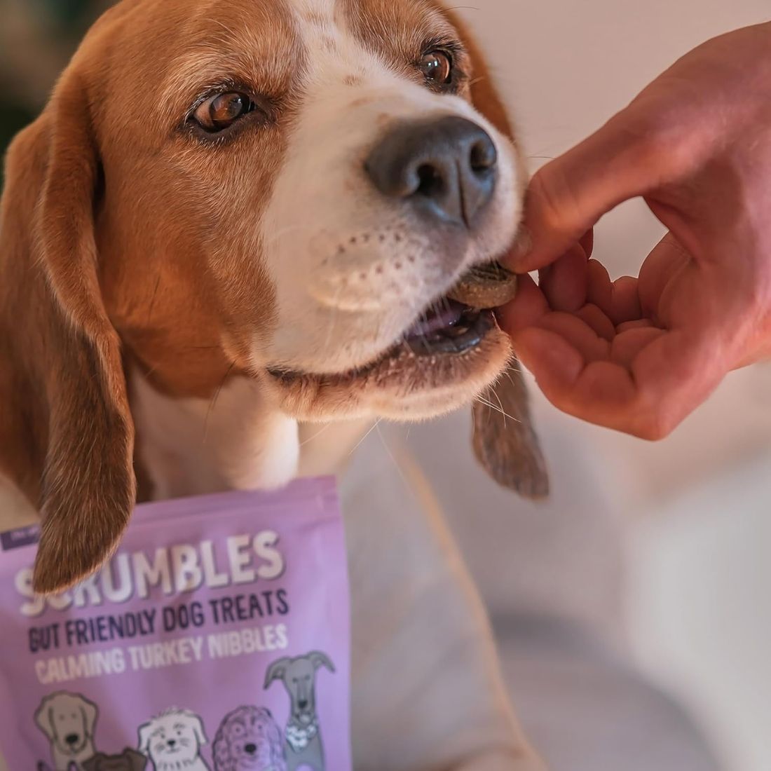Scrumbles Calming Turkey Nibbles Dog Treats 100g - HugglePets