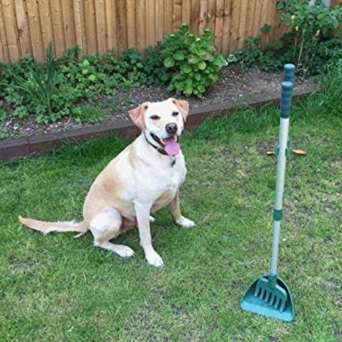 MDC Arms Length Pooper Scooper with Grass Rake - Image 5
