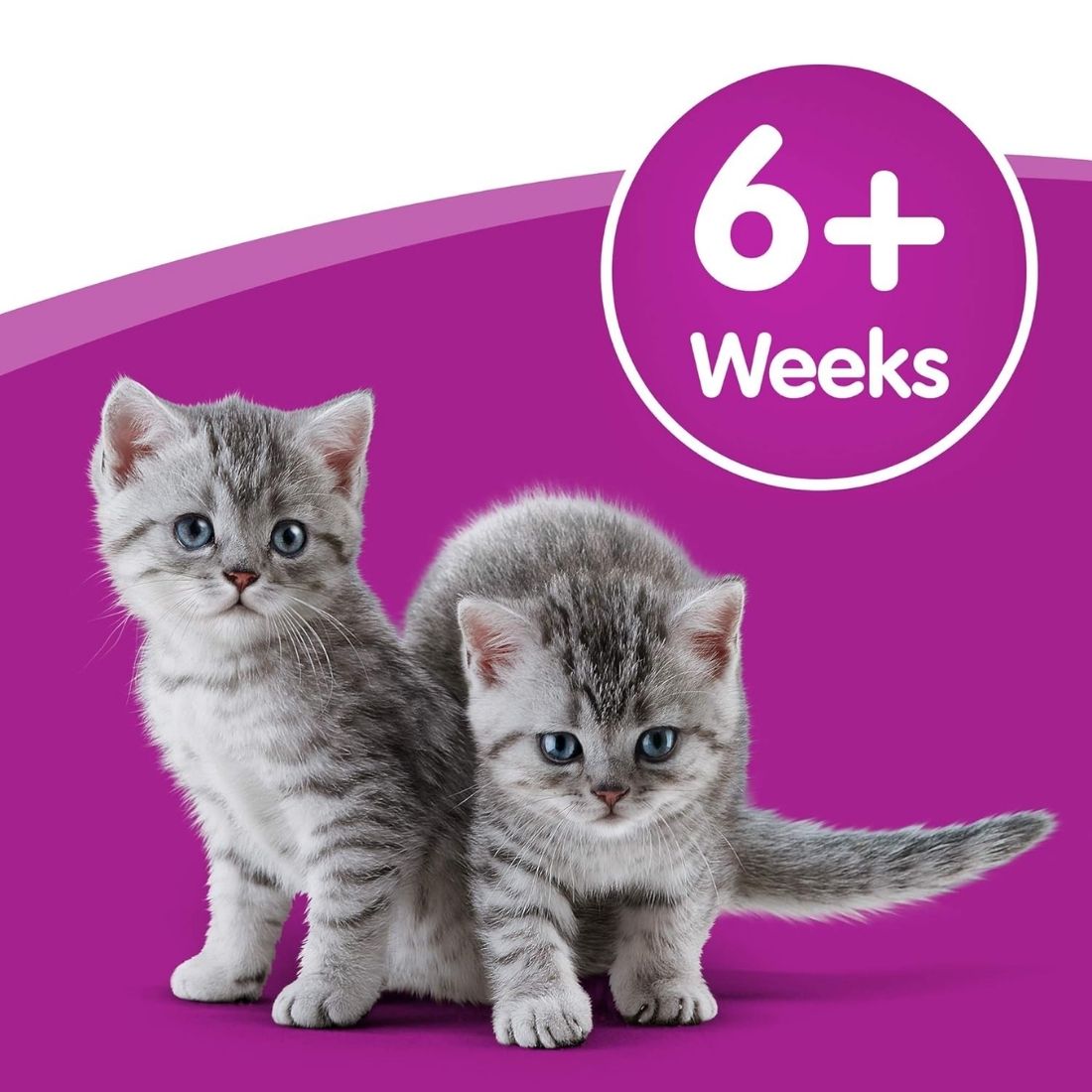 Whiskas Cat Milk Plus (3Pk) 200ml - HugglePets
