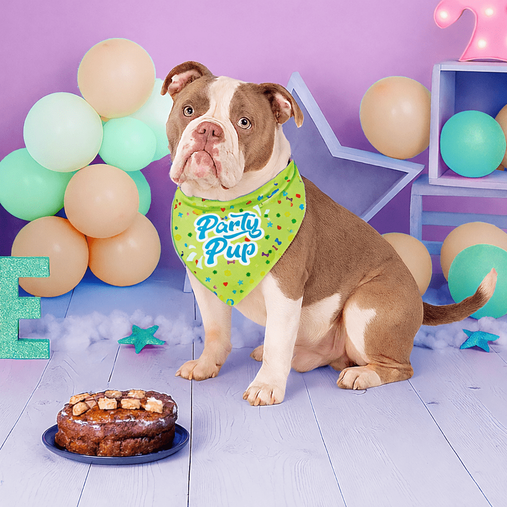 HugglePets Party Pup Dog Bow Tie & Bandana Set