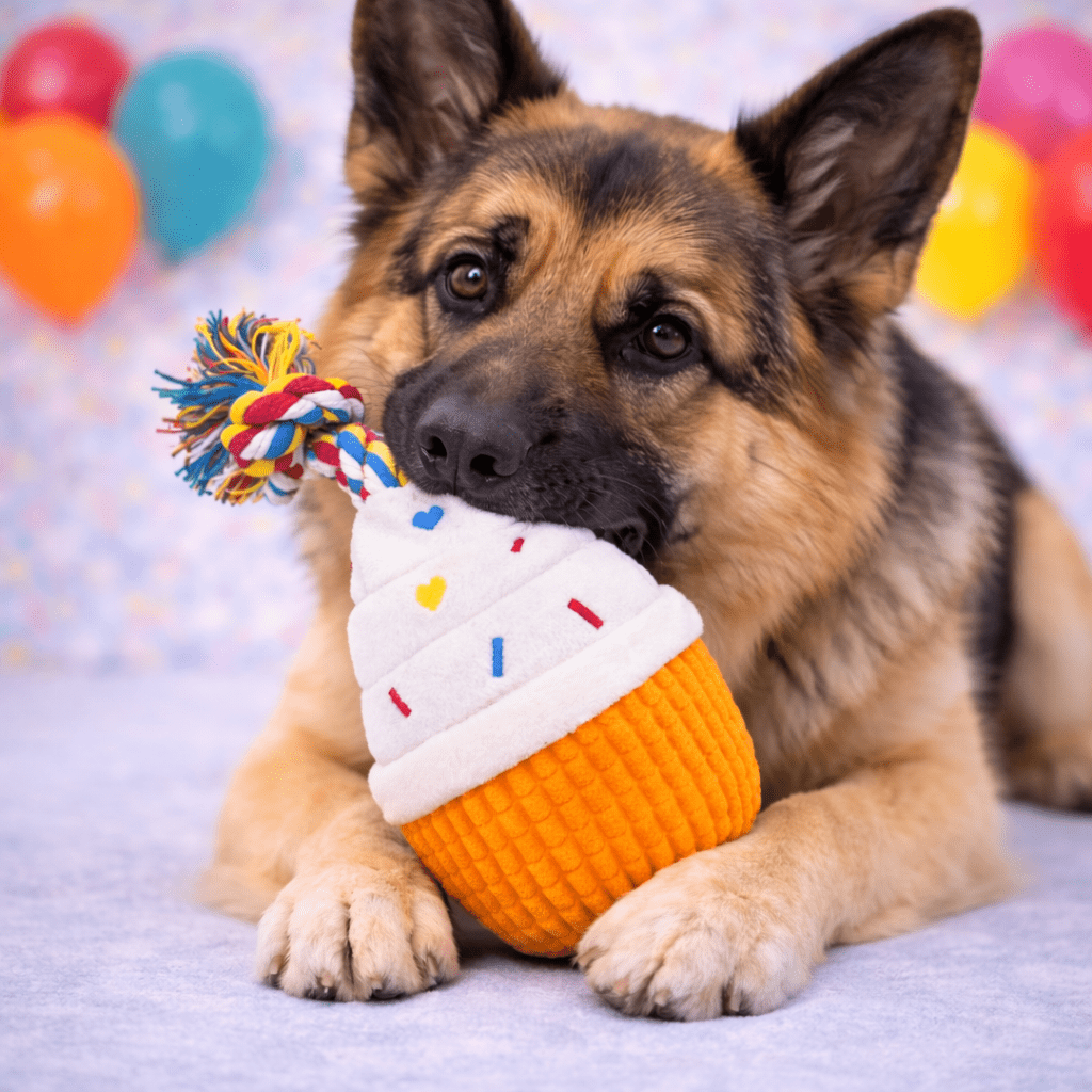 HugglePets Party Pup Cupcake Squeaky Dog Toy