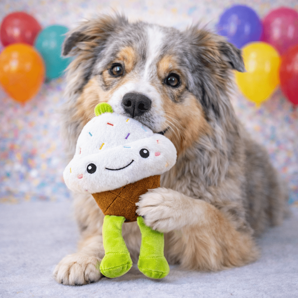HugglePets Party Pup Muffin Squeaky Dog Toy