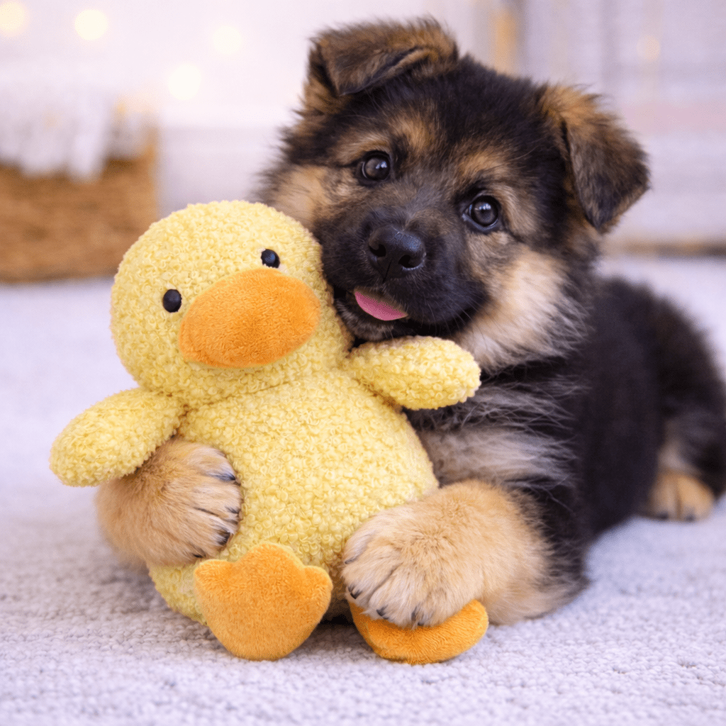 HugglePets Tiny Tails Chick Clifford Squeaky Puppy Toy