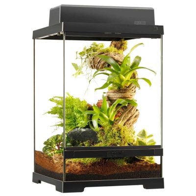 Exo Terra Pro Terrarium Small Tall 30 x 30 x 45cm - HugglePets
