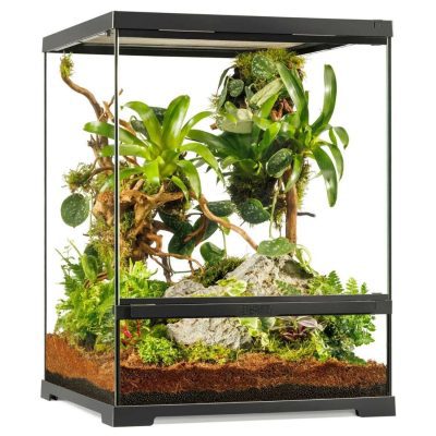 Exo Terra Pro Terrarium Small Tall 45 x 45 x 60cm - HugglePets
