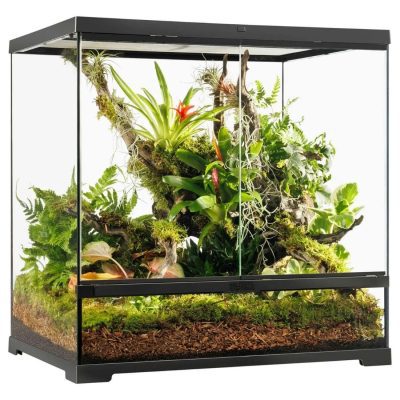 Exo Terra Pro Terrarium Medium Tall 60 x 45 x 60cm - HugglePets