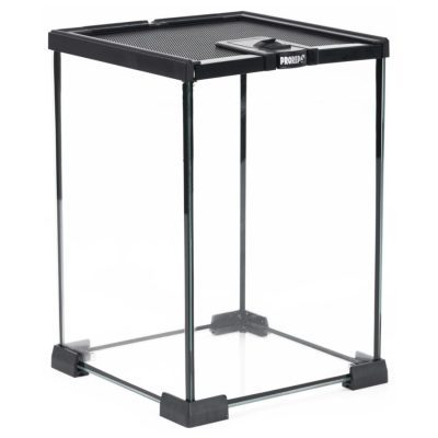 ProRep Mini Glass Terrarium