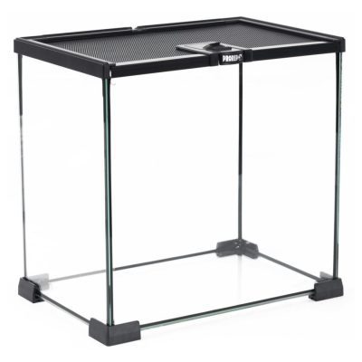 ProRep Mini Glass Terrarium