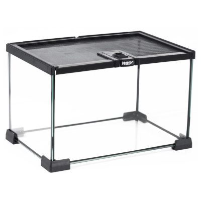 ProRep Mini Glass Terrarium