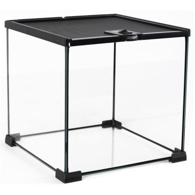 ProRep Mini Glass Terrarium