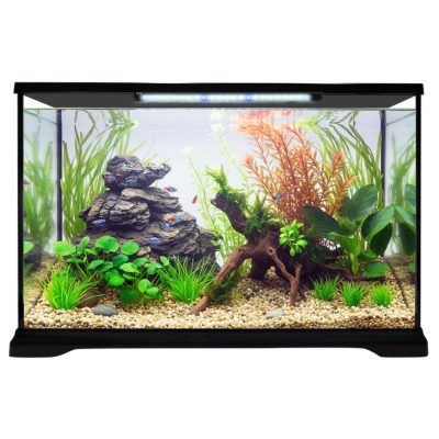 Aqua One Tropical Discovery Aquarium Kit
