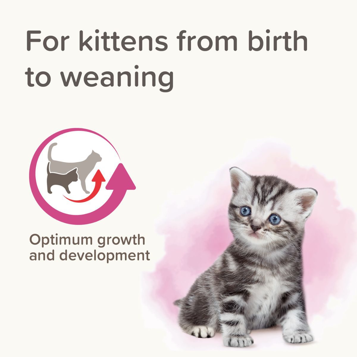 Beaphar Lactol Milk Replacer for Kittens