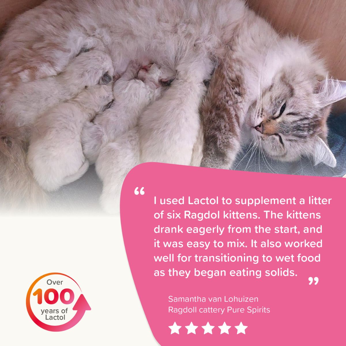 Beaphar Lactol Milk Replacer for Kittens
