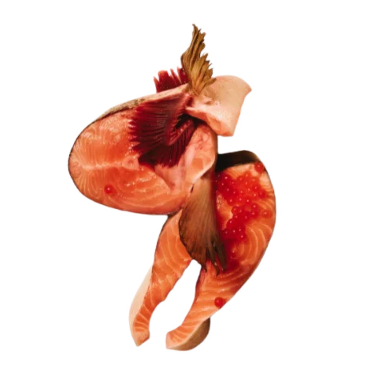 Carnilove Active Salmon & Turkey Cat Food