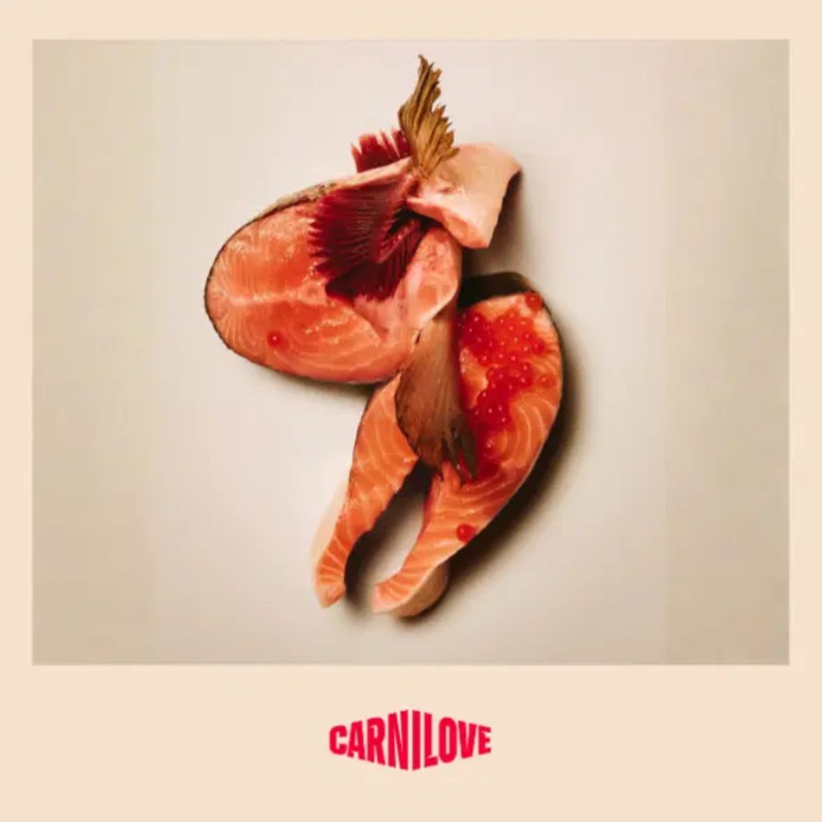 Carnilove Active Salmon & Turkey Dog Food