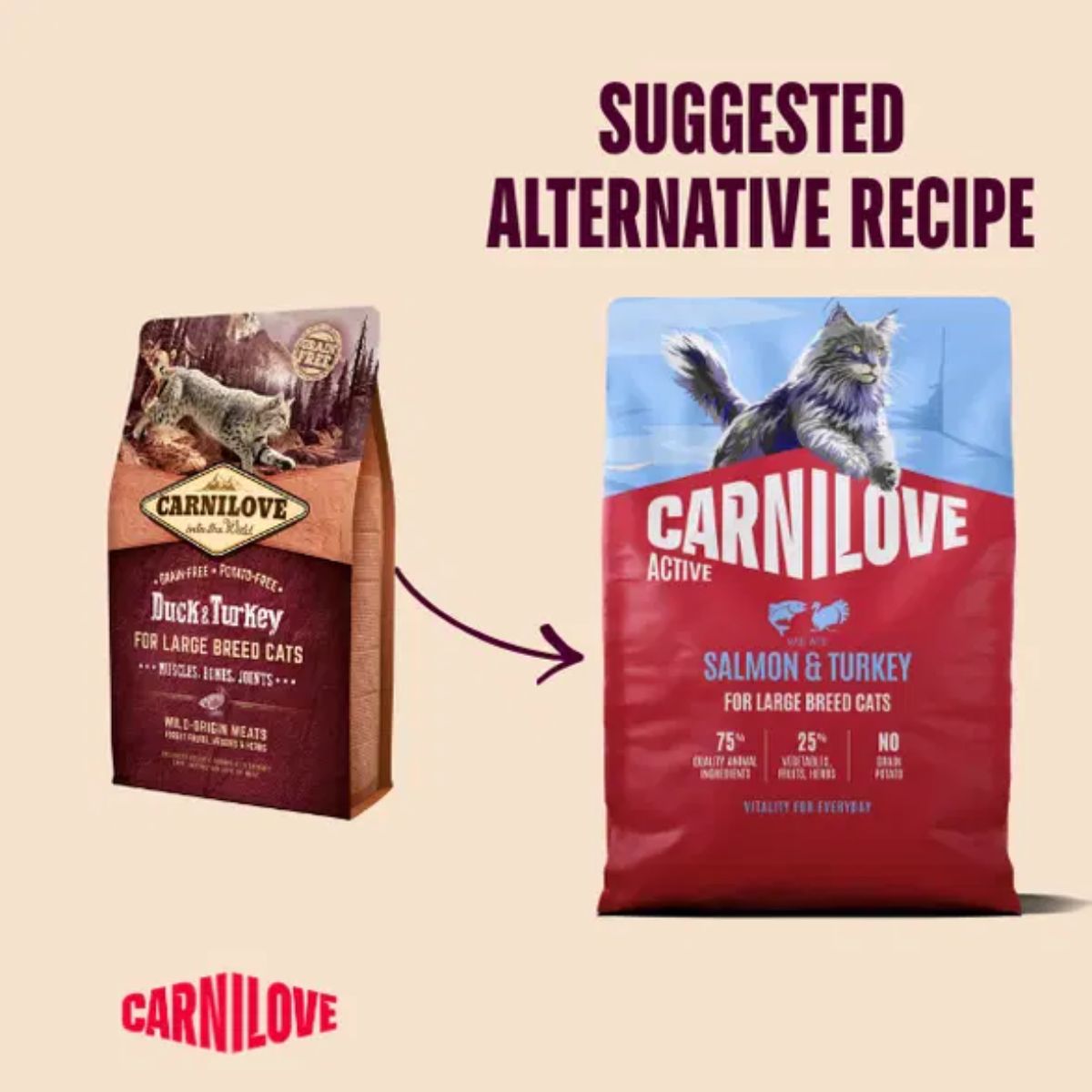 Carnilove Active Salmon & Turkey Large Breed Cat Food - Image 6