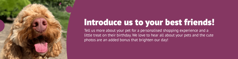 share your pet web banner-01-01